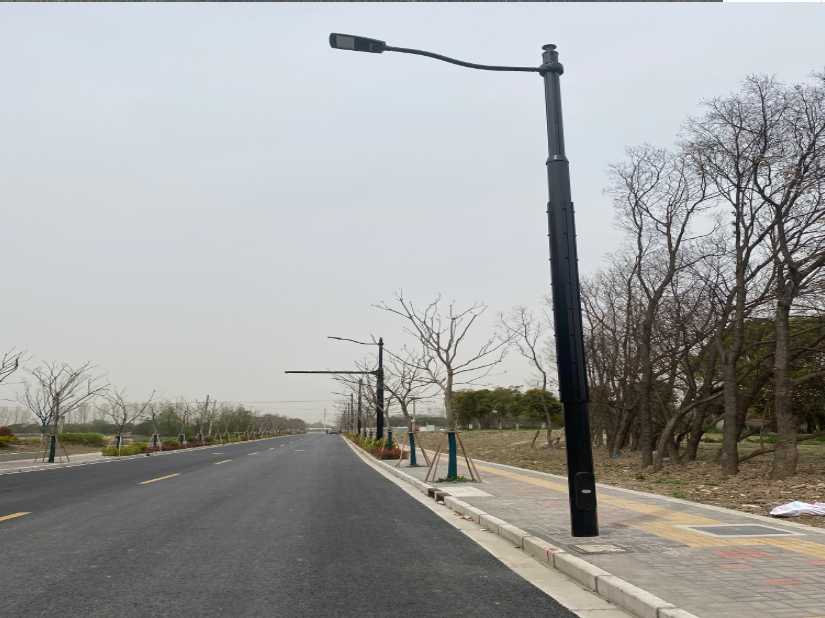 高阳县上海综合杆 太阳能路灯工程
